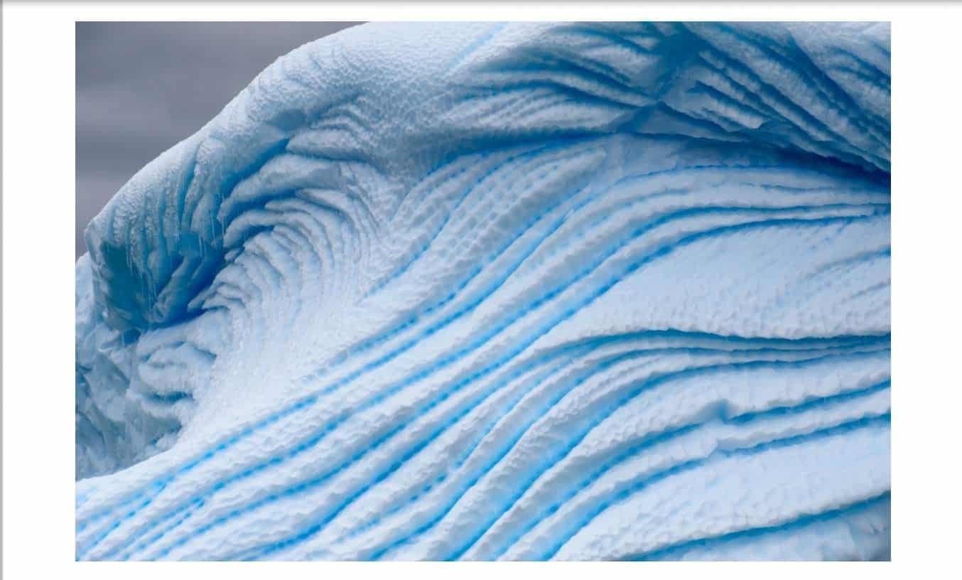 Lightroom Image Background Color White