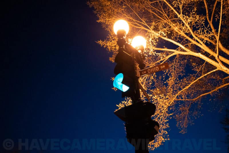Street lamp and traffic signal glowing against a dark blue evening sky by a tree