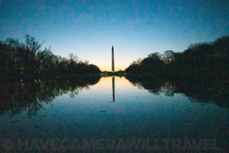 Washington DC Cherry Blossoms - DATE, 2019