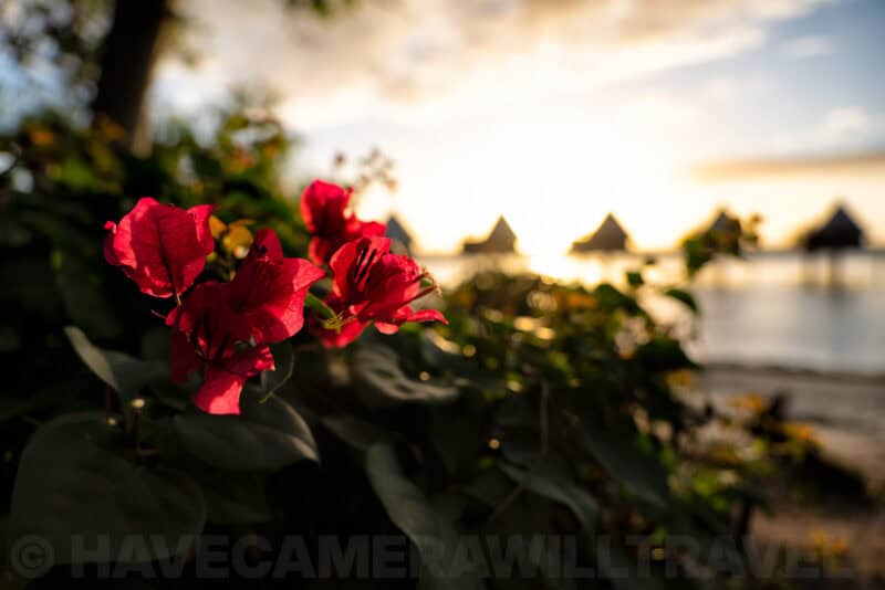 Lumix S 24-105mm f/4 Zoom Lens Sample Image