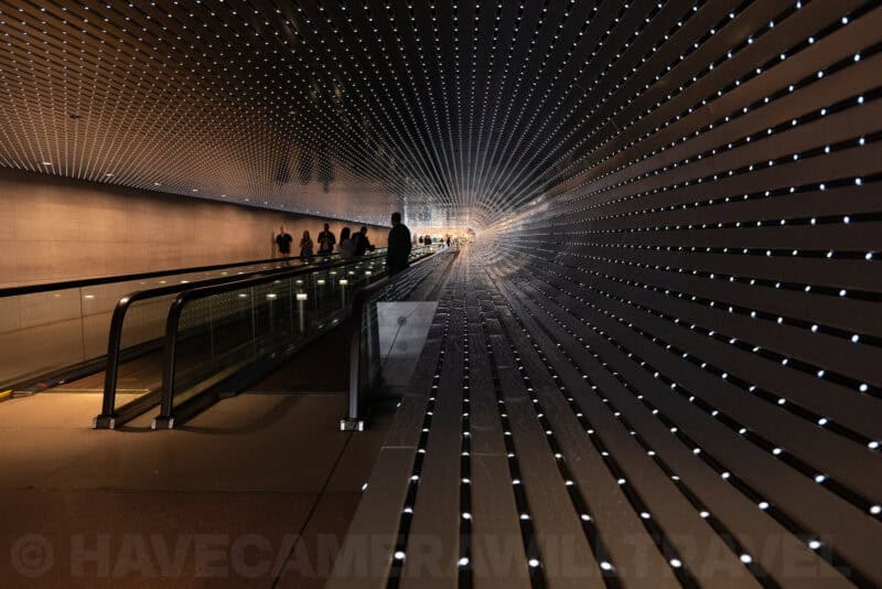 Panasonic Lumix S Mirrorless Camera Sample Image
