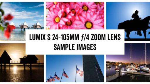 Lumix S 24-105mm Sample Images Header