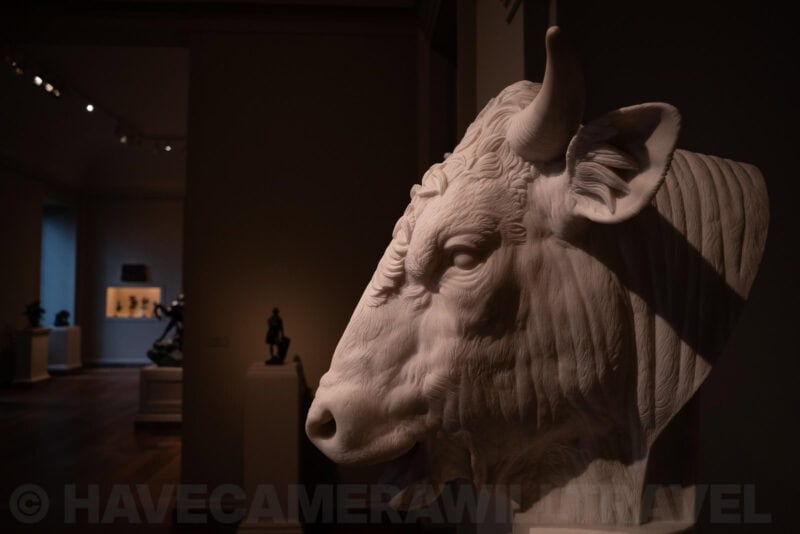 Carved marble bull's head sculpture displayed in a dim museum gallery