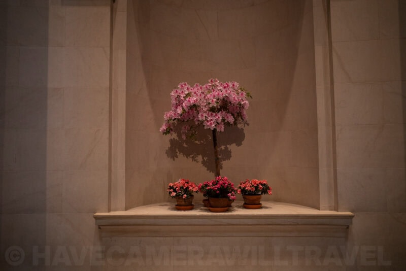 Potted pink azalea trees displayed in a marble alcove inside a memorial
