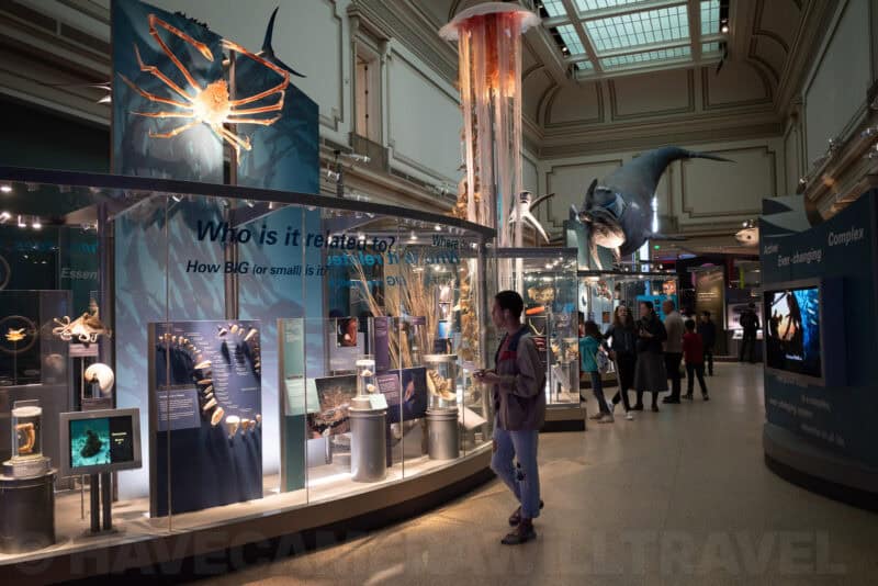 Museum visitors viewing marine exhibits including a suspended jellyfish display