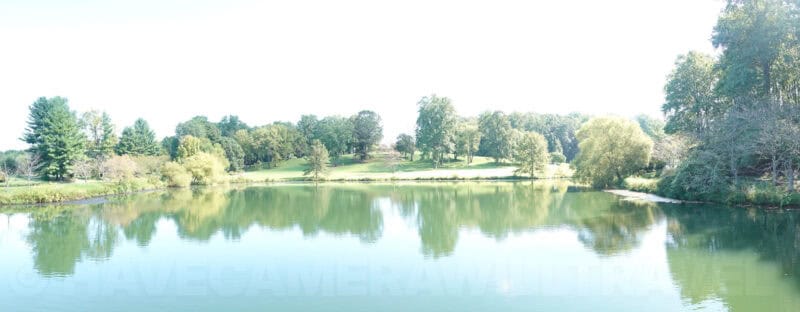 Overexposed panorama of the pond and trees with blown-out white sky illustrating exposure inconsistency