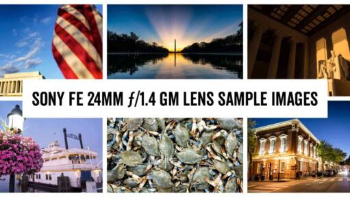 Sony FE 24mm f/1.4 GM Lens Sample Images Collage