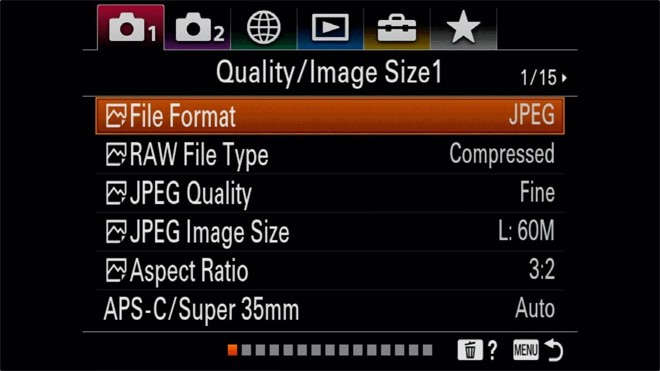 Sony a7R IV Shooting JPG PLUS RAW - File Format Selection 1