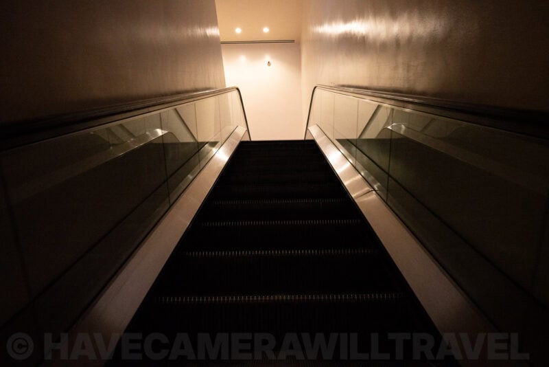 Sony a7r IV at ISO 12000