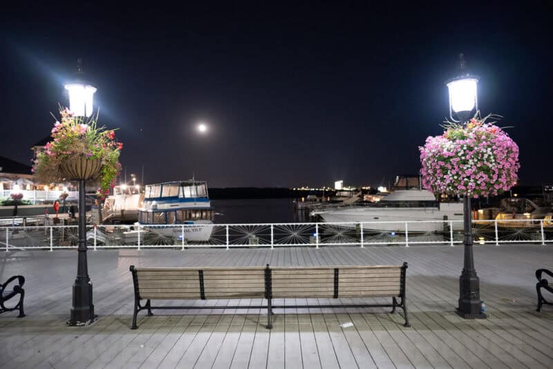 Sony a7R IV High ISO Example Image