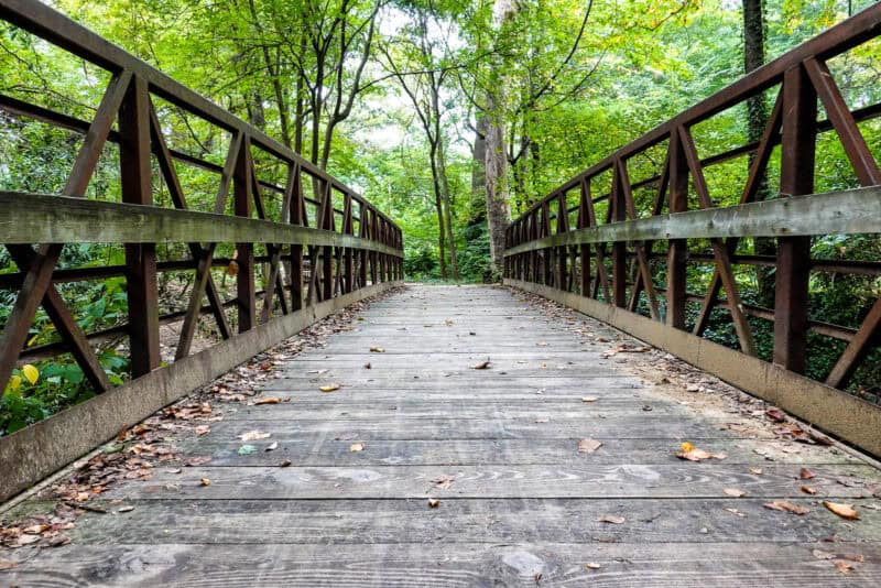 Wooden footbridge with metal railings leading into a green forest