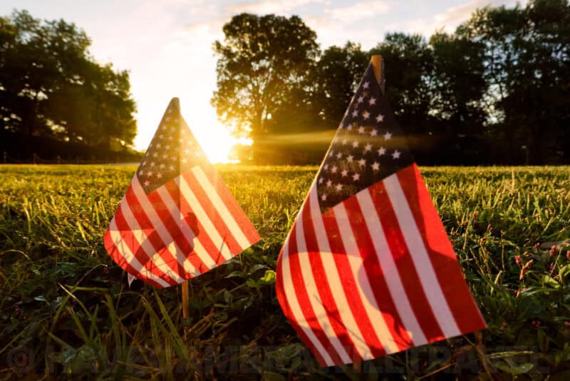 Two small American flags in grass backlit by a low setting sun