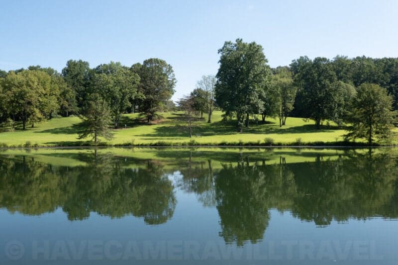 Green lawn and trees reflected in a still pond under a clear sky