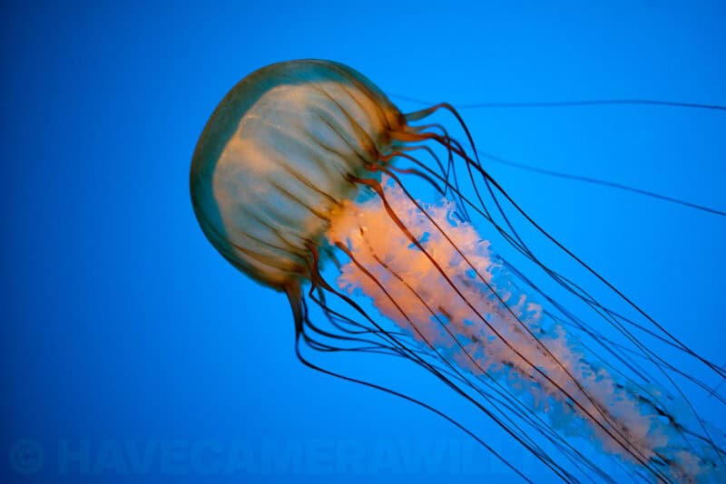 Photo taken with a Nikon D3500 DSLR camera