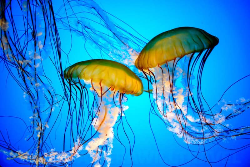 Photo taken with a Nikon D3500 DSLR camera