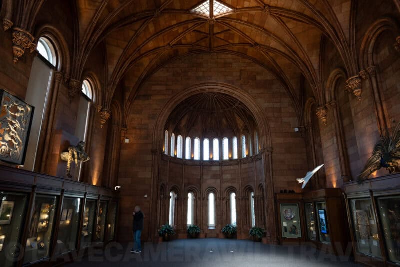 Sony a7R IV Sample Image