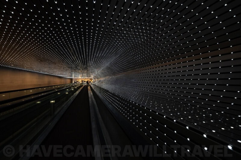 Sony FE 12-24mm F4 G Wide-Angle Zoom Lens Sample Image