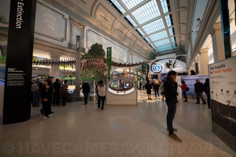Sony FE 12-24mm F4 G Wide-Angle Zoom Lens Sample Image