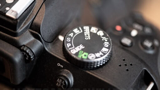 Nikon D3400 Aperture. Photo by David Coleman - havecamerawilltravel.com