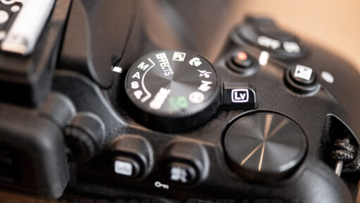 Nikon D3500 Aperture. Photo by David Coleman - havecamerawilltravel.com