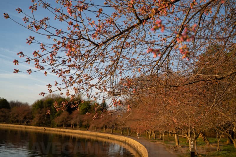 Nikon NIKKOR Z 24-70mm f/4 S Sample Image