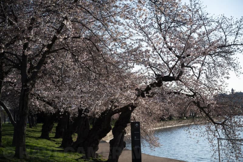 Nikon NIKKOR Z 24-70mm f/4 S Sample Image