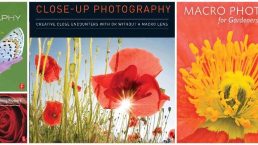 Books On Macro Photography Header