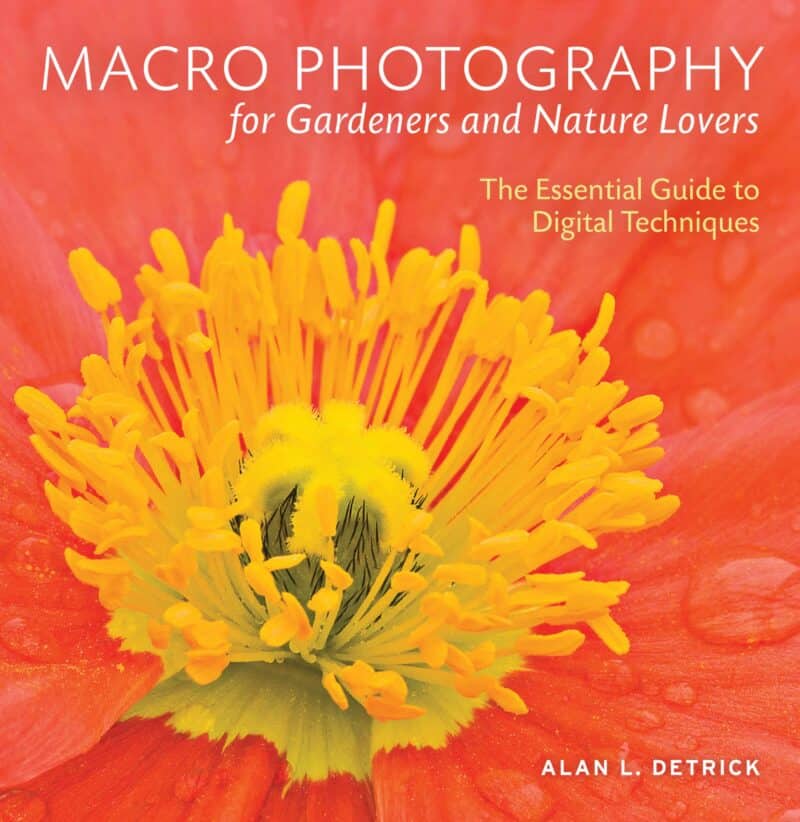 Macro Photography For Gardeners And Nature Lovers
