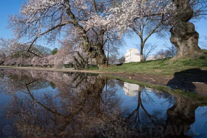 Nikon NIKKOR Z 24-70mm f/4 S Sample Image