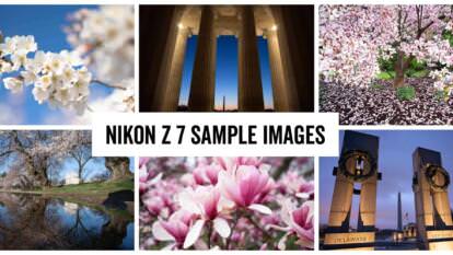 Nikon Z7 Sample Images header