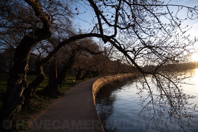 Nikon NIKKOR Z 24-70mm f/4 S Sample Image