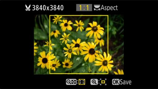 Nikon D3500 Aspect Ratio