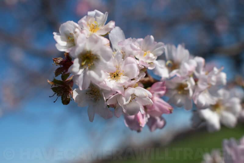 Photo taken with a Nikon D3500 DSLR camera