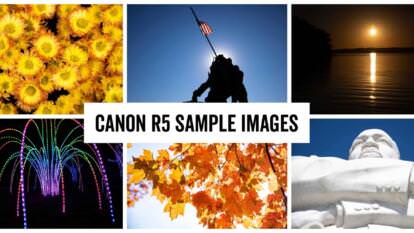 Canon EOS R5 Sample Image