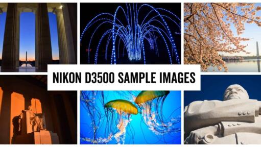 Nikon D3500 Sample Images Header