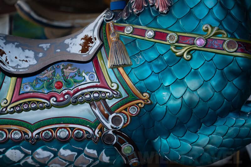 Sony Alpha a1 Sample Image