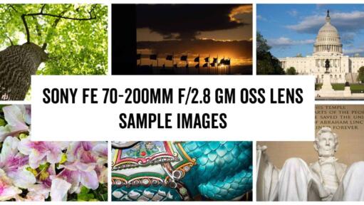 Sony FE 70-200mm f/2.8 GM OSS Zoom Lens Sample Images