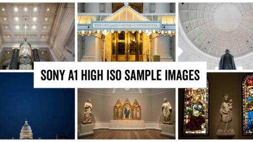 Sony a1 High ISO Sample Images