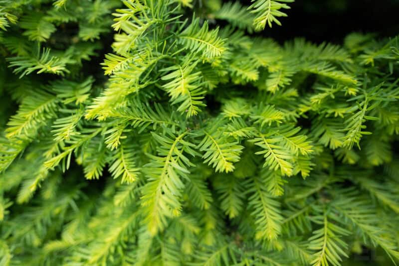 Sony 20mm f1.8 G Wide-Angle Lens Sample Image
