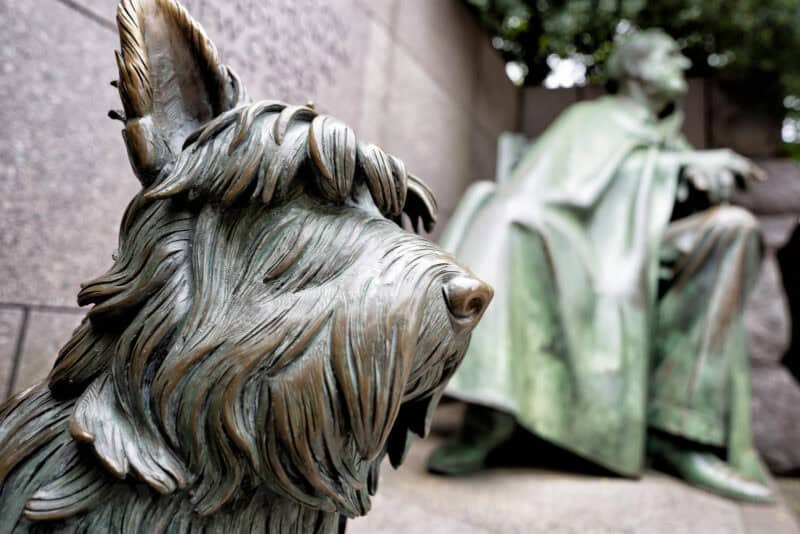 Sony 20mm f1.8 G Wide-Angle Lens Sample Image