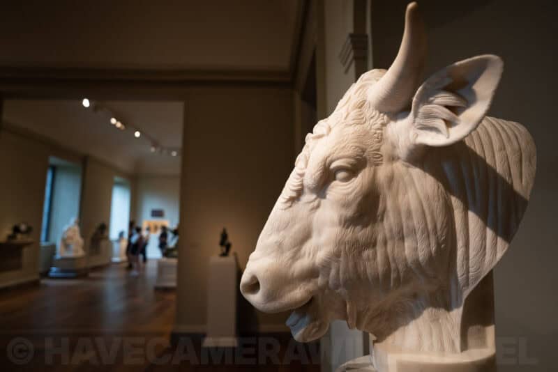 Sony 20mm f1.8 G Wide-Angle Lens Sample Image
