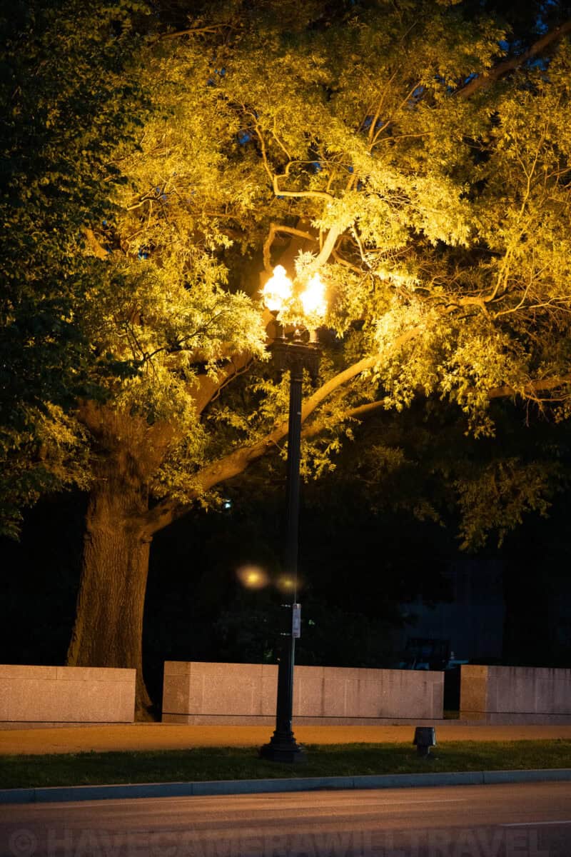 Sony a1 High ISO Still Image Performance