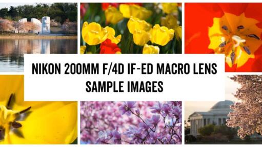 Nikon 200mm f/4D Macro Lens