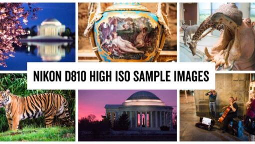 Nikon D810 High ISO Sample Images Header