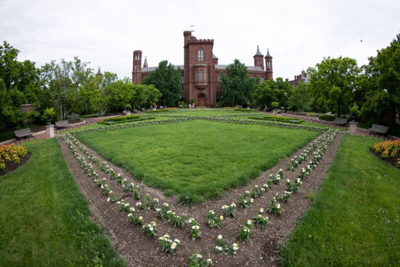 Symmetrical garden pathways lined with white flowers leading to the red-brick Smithsonian Castle