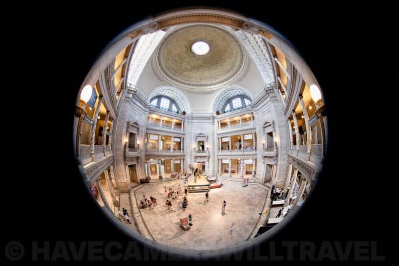 Circular fisheye view looking down into the elephant rotunda of the National Museum of Natural History