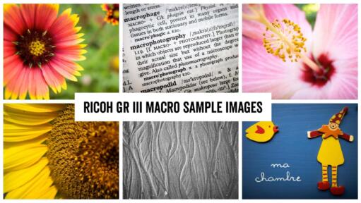 Ricoh GR III Macro Sample Images