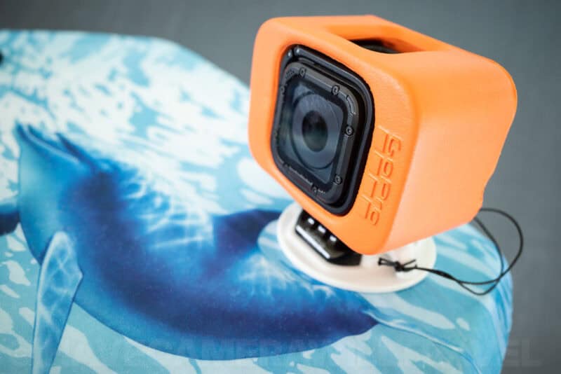 Ricoh GR III Macro Image. Photo by David Coleman | havecamerawilltravel.com
