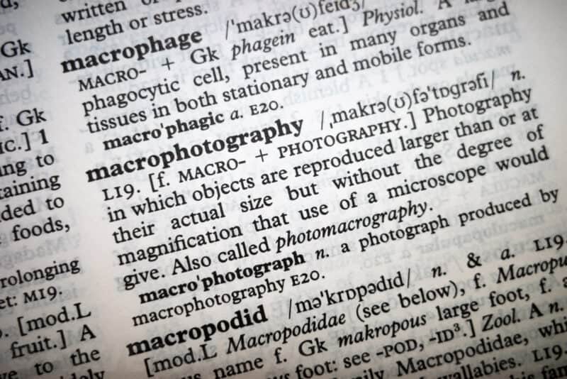 Ricoh GR III Macro Image. Photo by David Coleman | havecamerawilltravel.com