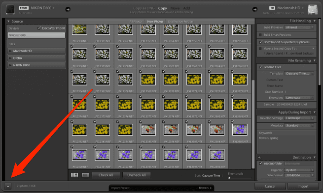 Lightroom import minimize button